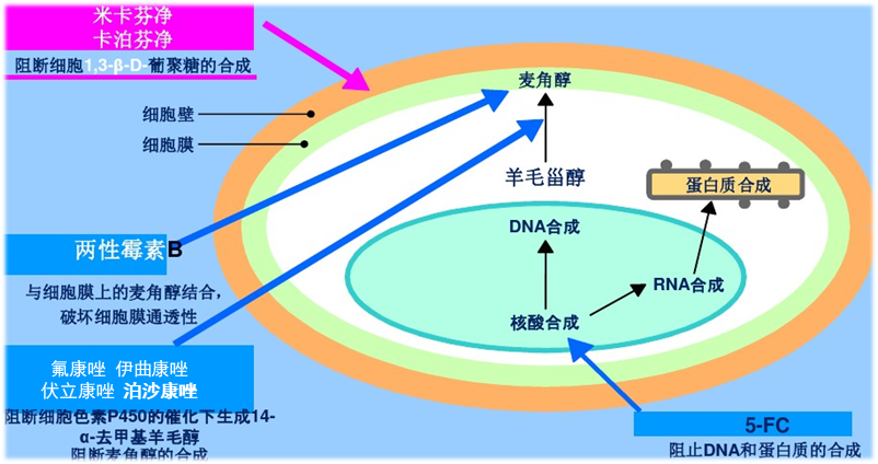 640 (4).png 640 (4).png